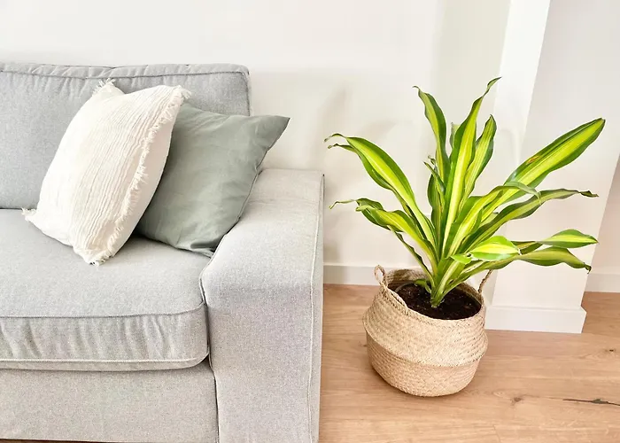 El Encanto De El Coto *